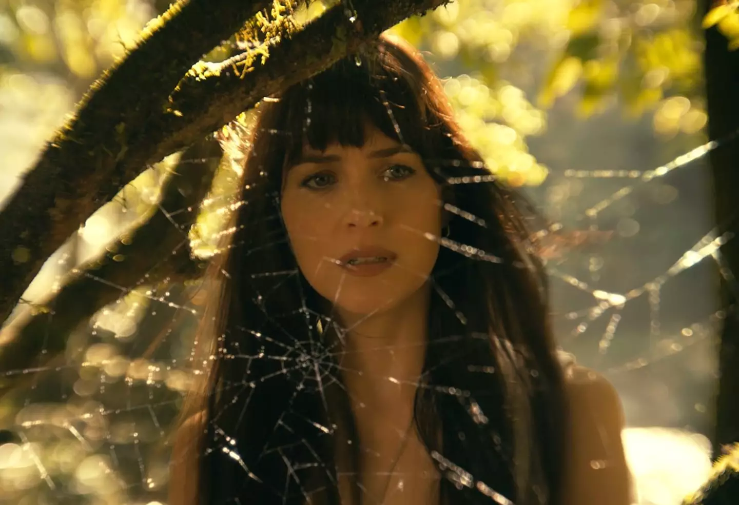 Madame Web hasn't gone down well with fans and critics.