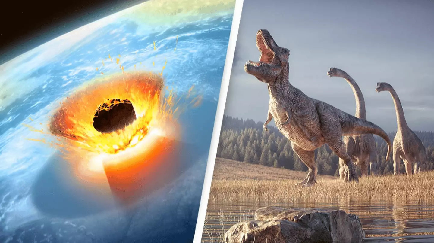Scientists Finally Discover Location Of Where Asteroid That Killed The Scientists Finally Discover Location Of Where Asteroid That Killed The
