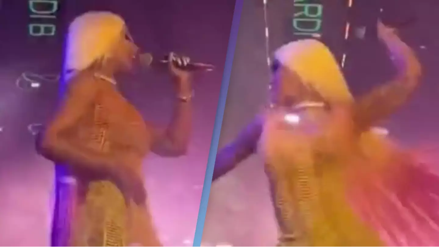 Cardi B chucked a microphone at a DJ less than 24 hours before hurling one at a fan