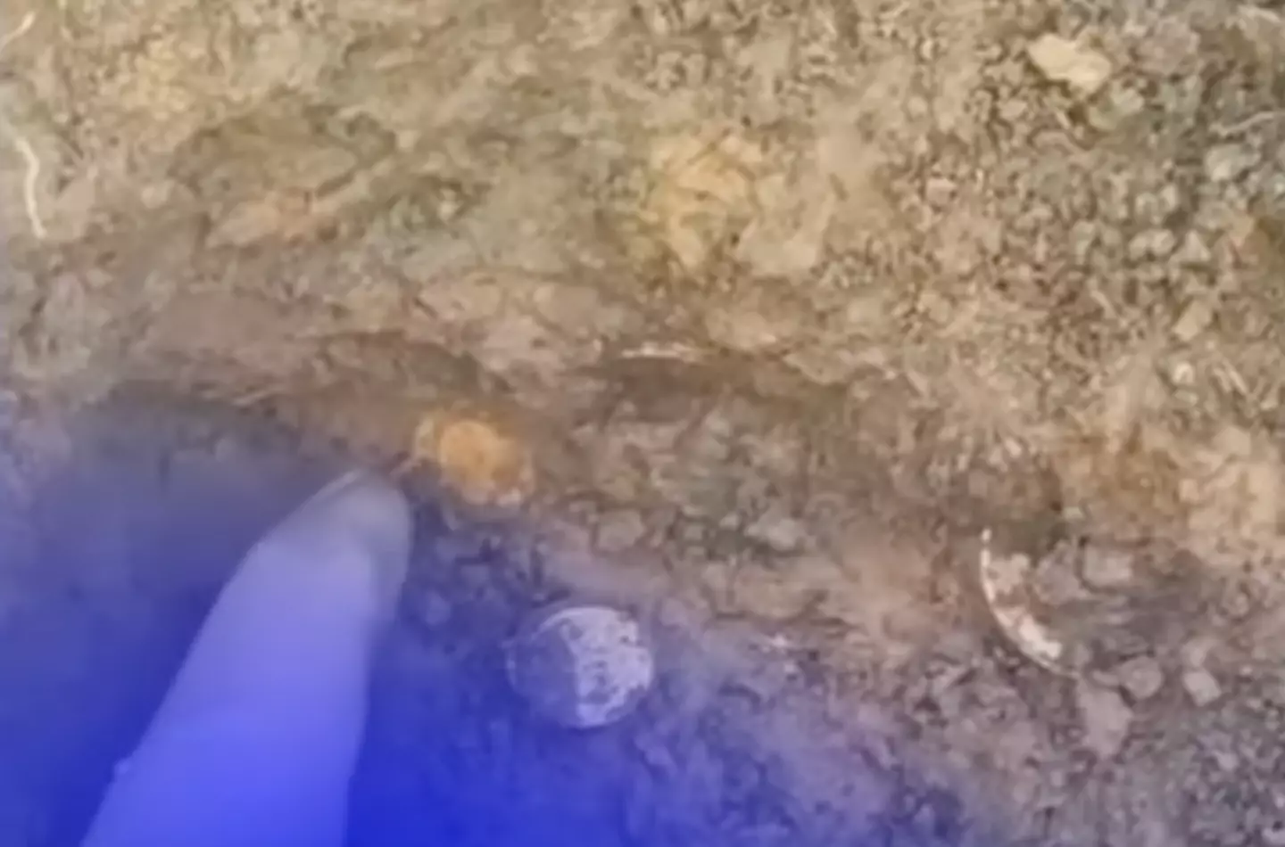 A man struck gold on a farm in Kentucky.