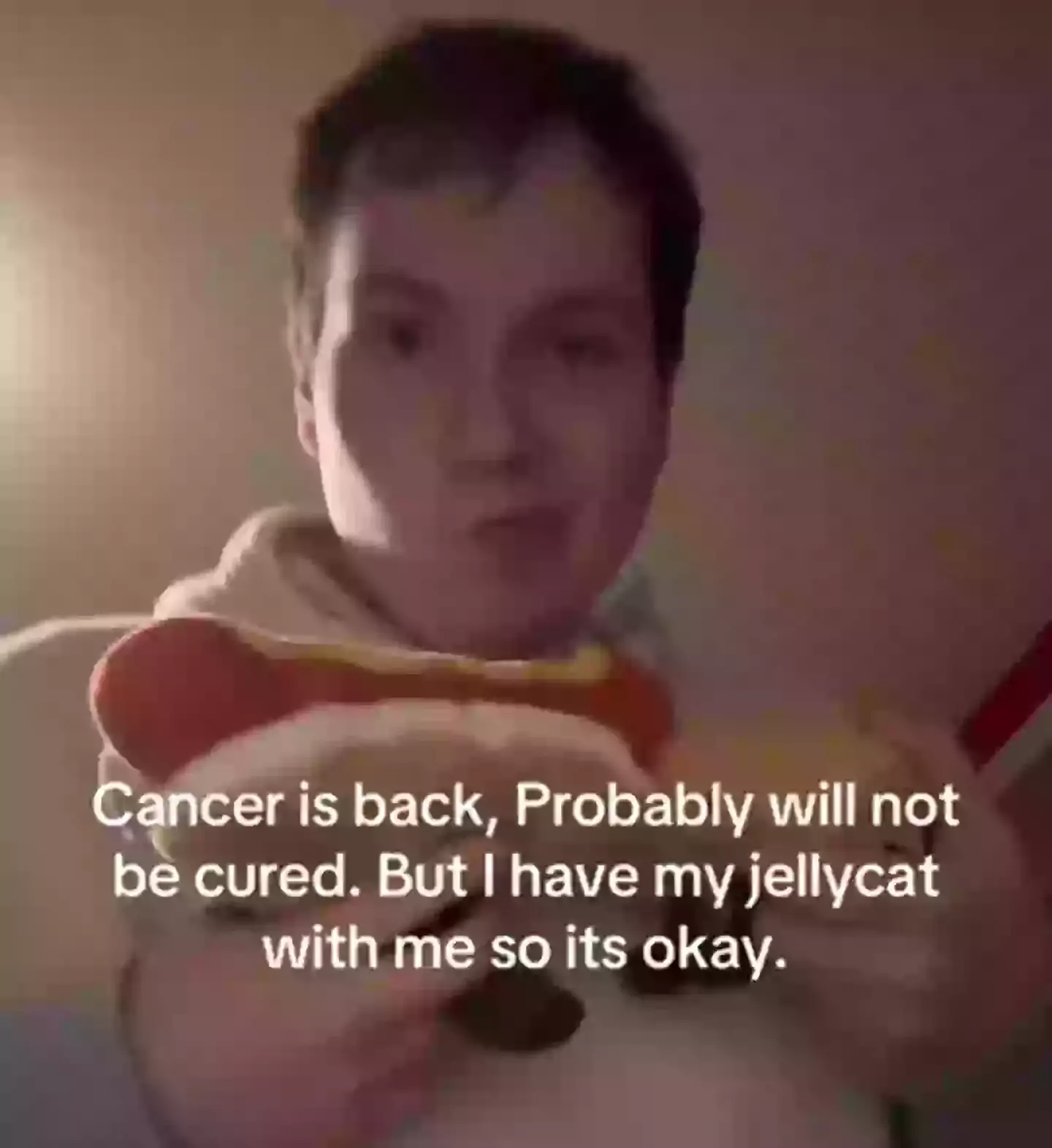 He went into remission - but the cancer came back months later (graemeporter25/TikTok)
