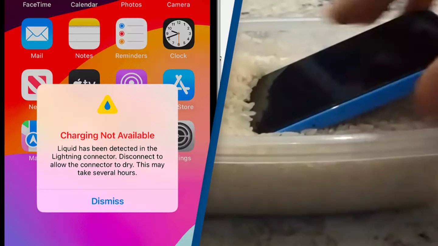 Apple issues warning and tells users ‘don’t put your iPhone in rice’