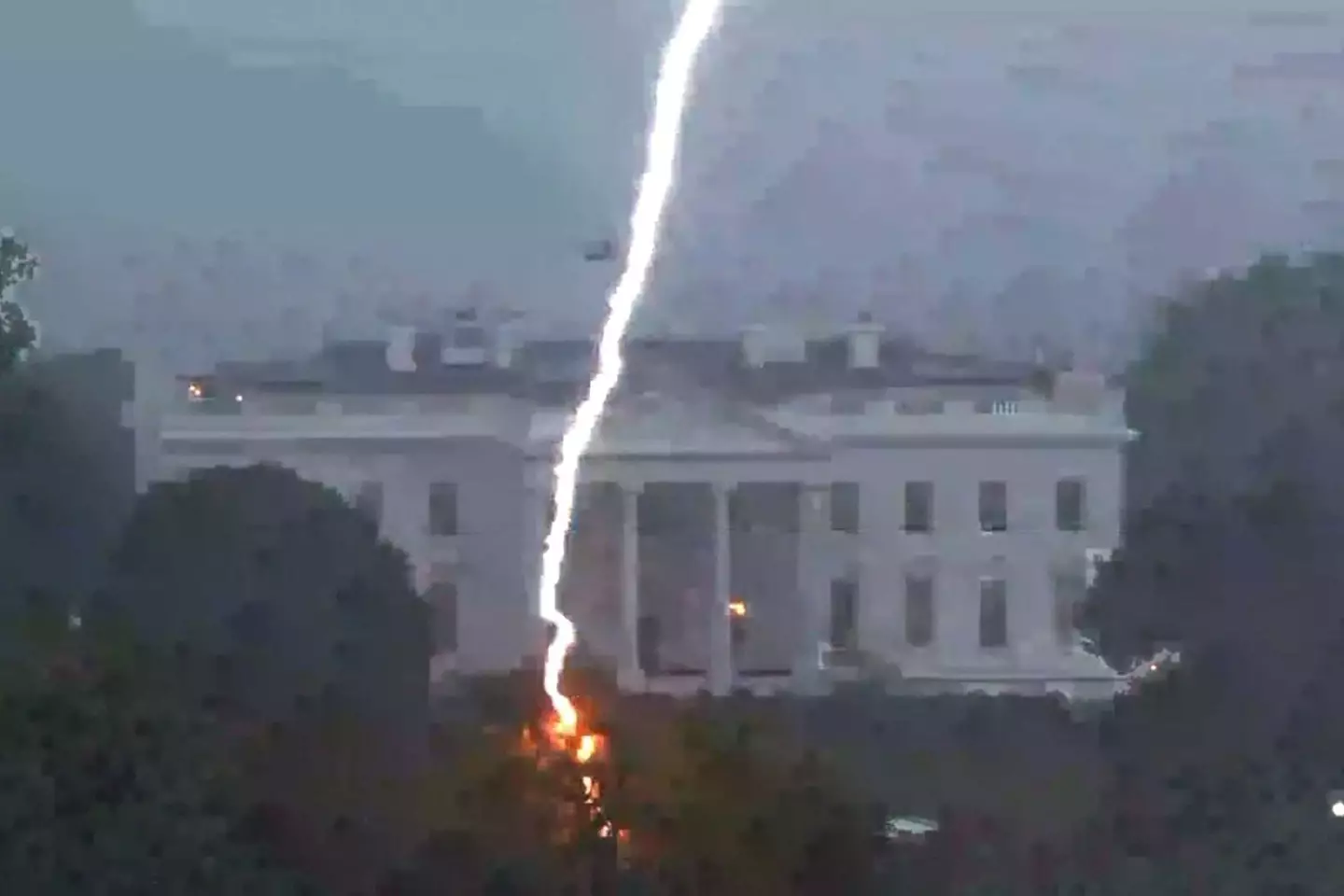 The lightning struck a tree near the White House.