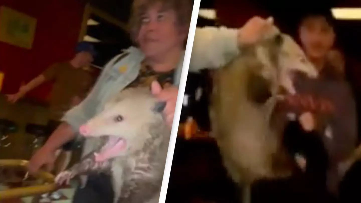 Opossum Gets Thrown Out Of Brooklyn Bar