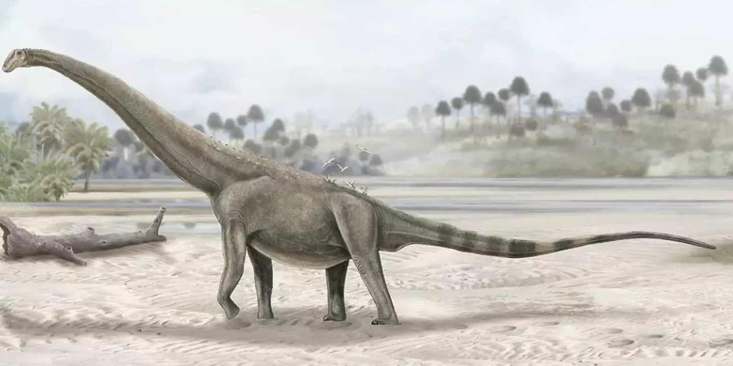 This is what a long-necked titanosaur could have looked like.