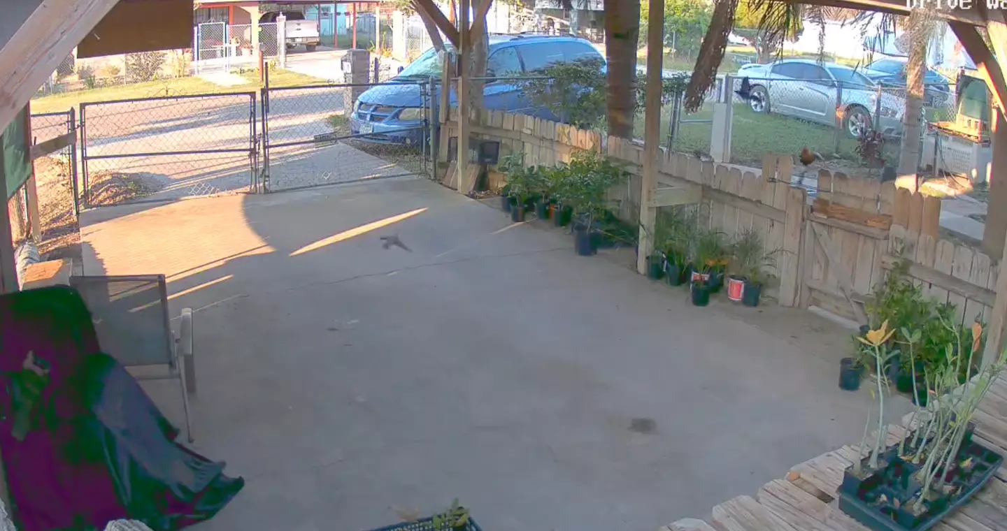 Numerous members of the public heard the boom.