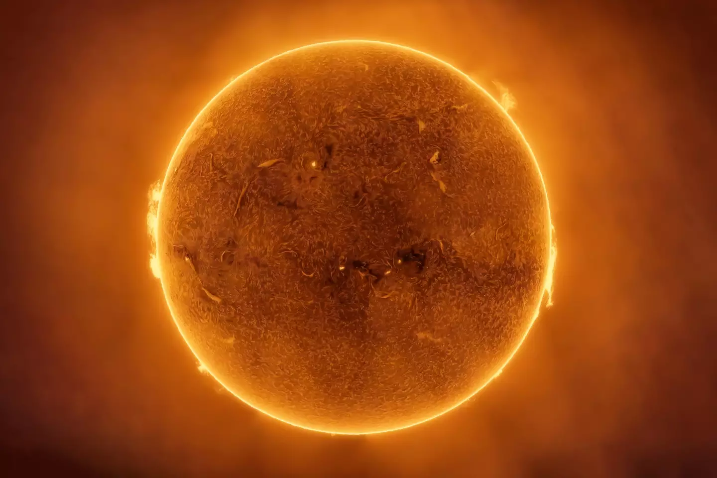 It's still early days in the study (Javier Zayas Photography/Getty)
