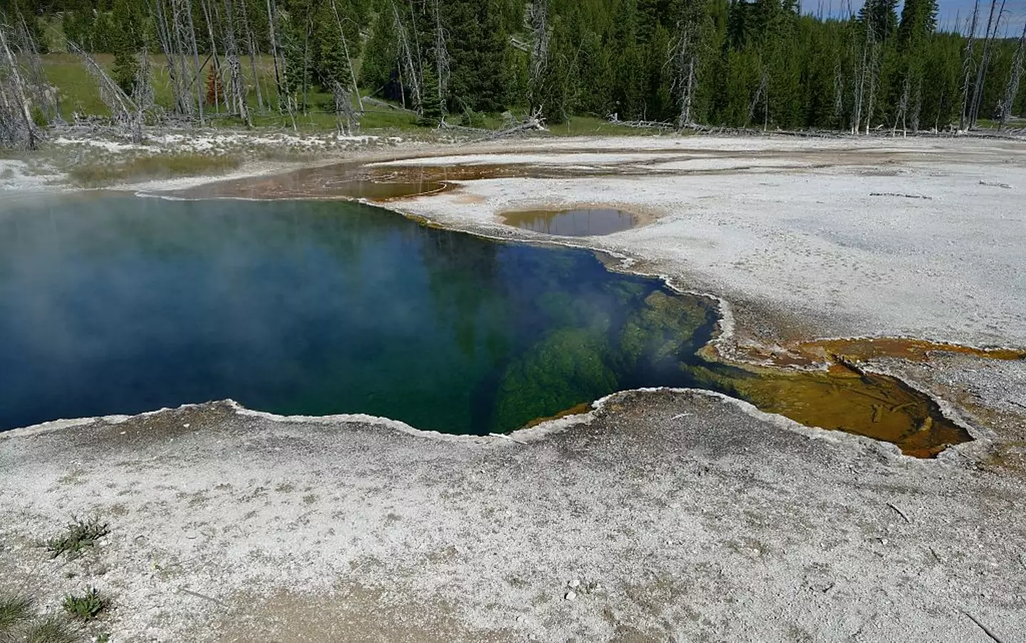 Researchers looked at conditions resembling hot springs.