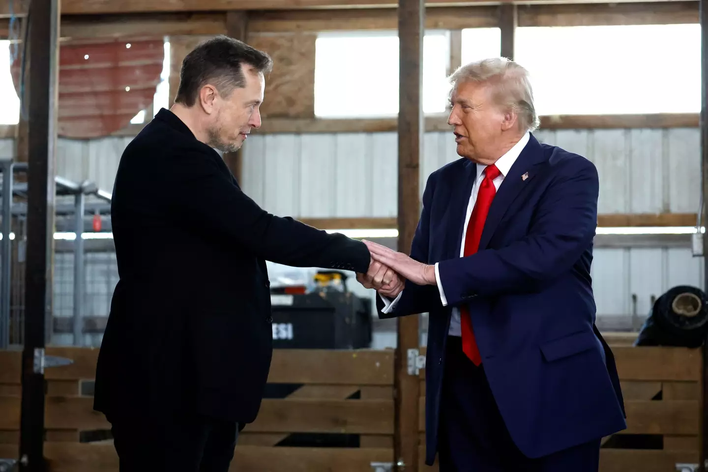 Musk has been appointed a special governative employee by Trump. (Anna Moneymaker/Getty Images)