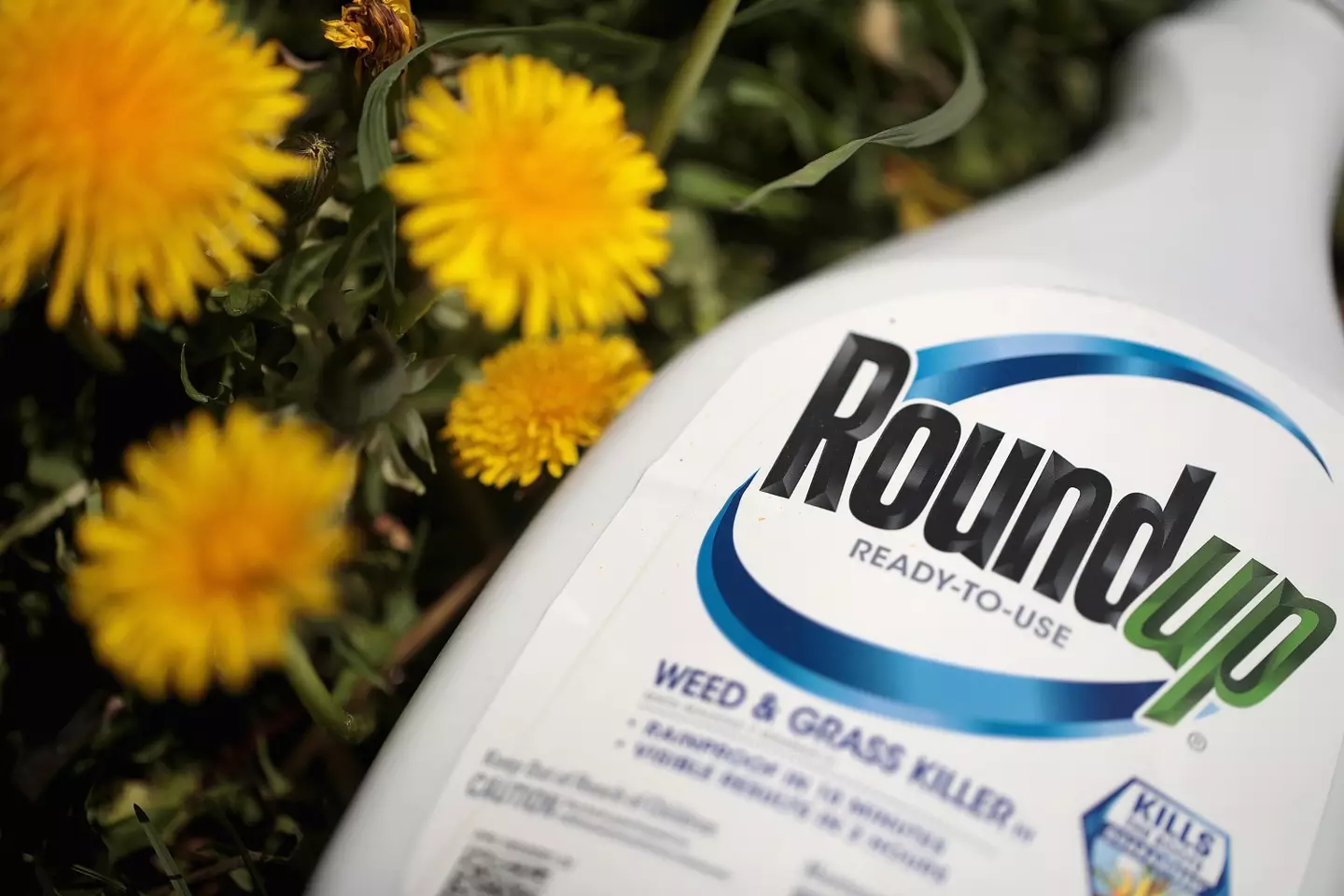 Thousands of people have claimed that Roundup caused them to develop cancer.