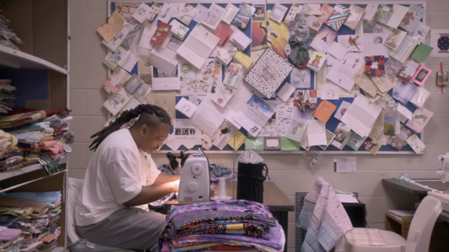 Netflix viewers demand 'multiple seasons' of forgotten documentary they say is 'way too short'
