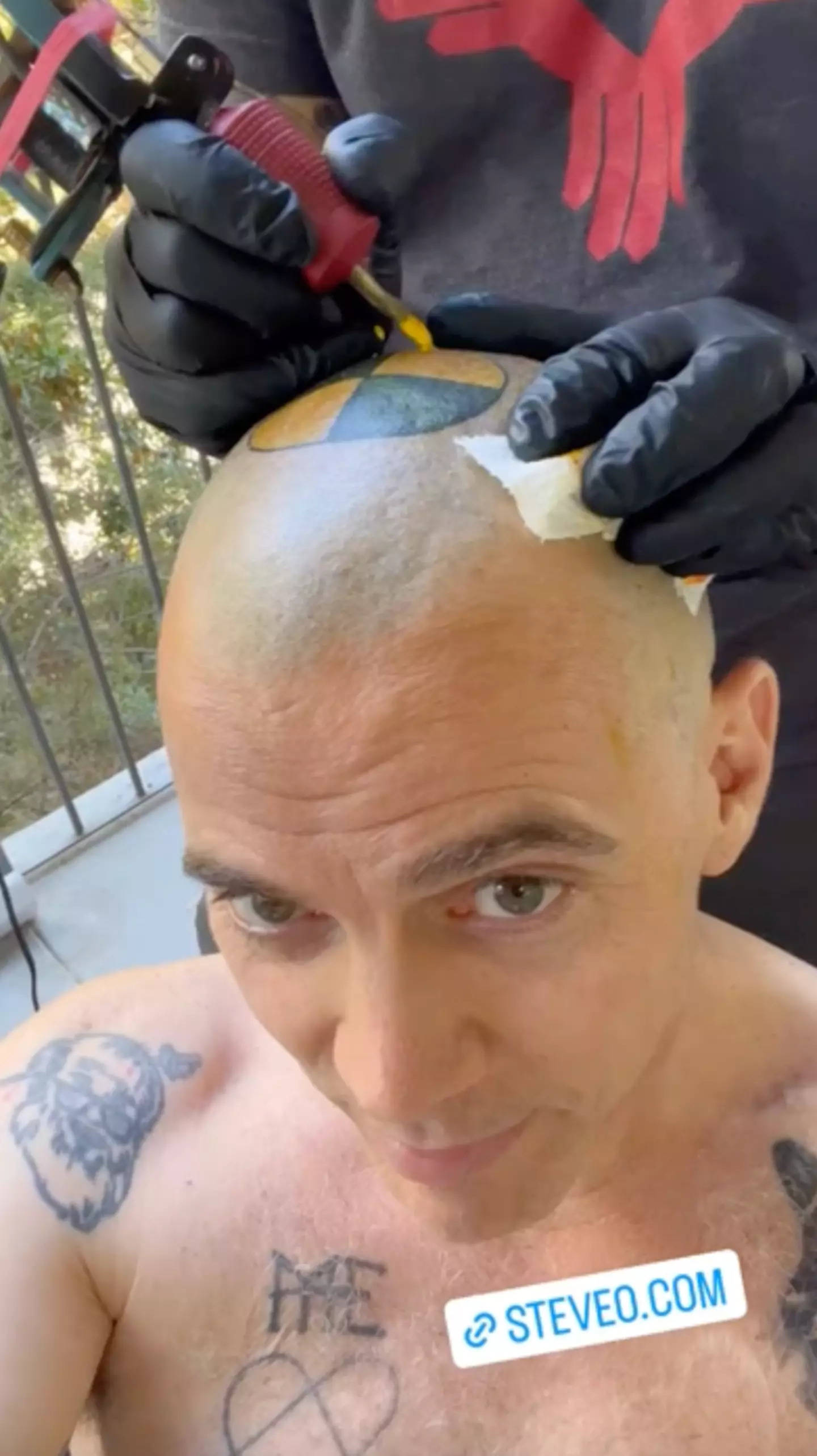 The first reveal of Steve-O's 'long-awaited' head tattoo.