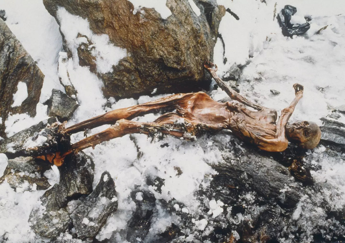 Ötzi was found on September 19 in 1991 by two German tourists.