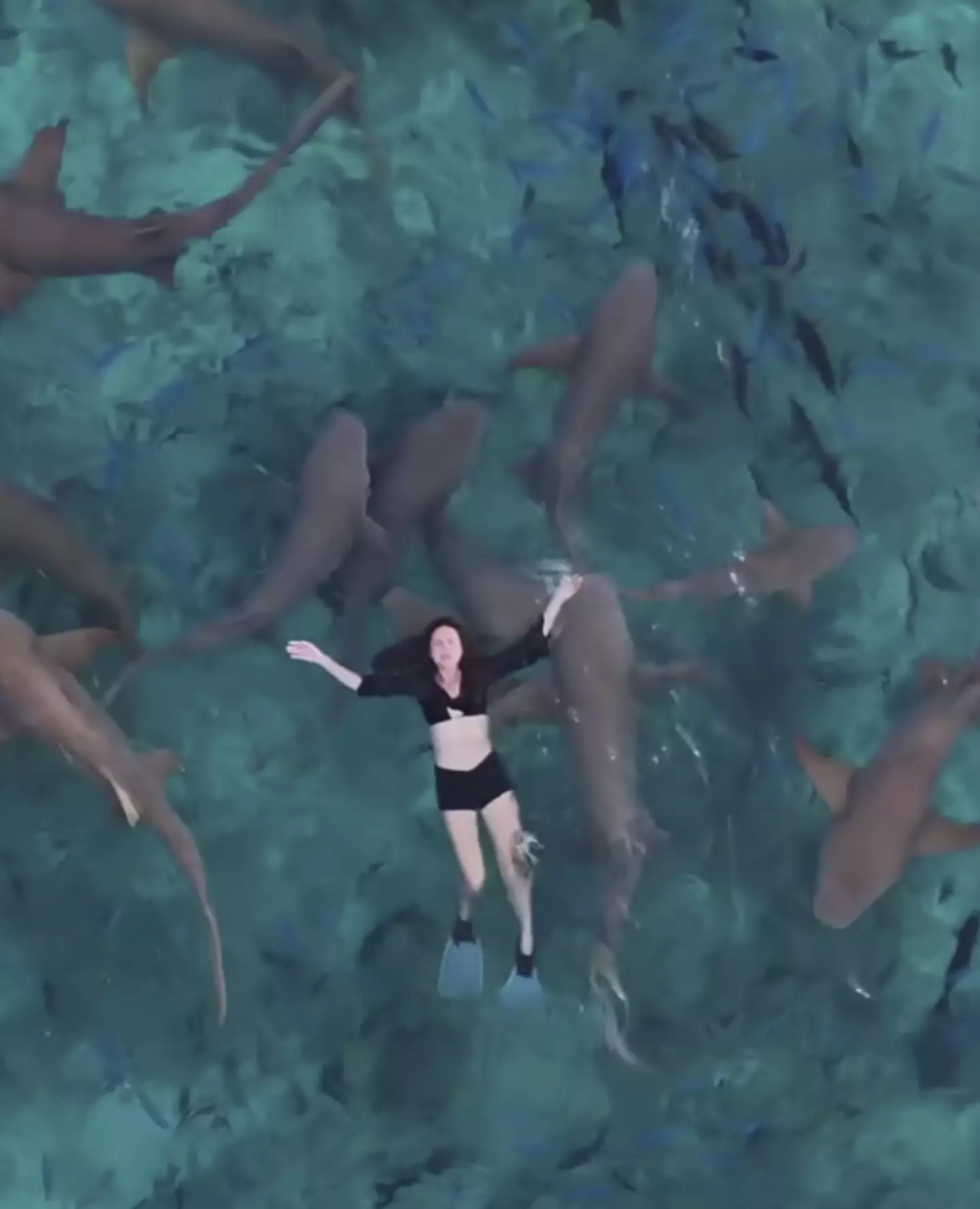 The influencer was swimming with sharks before she was bitten (East2West)