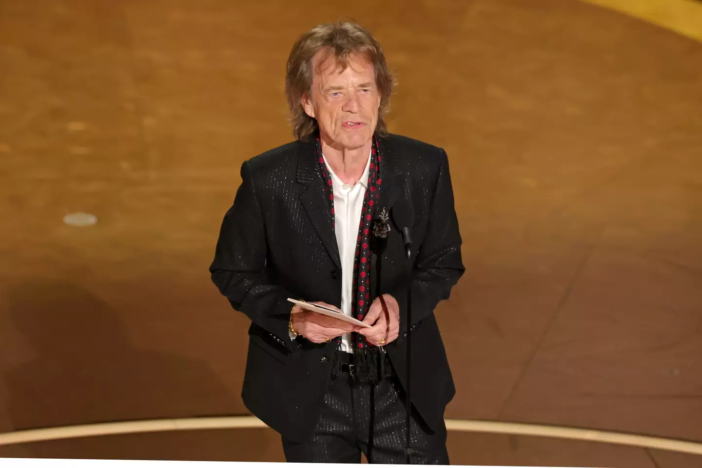 Mick Jagger has made a rare Oscars appearance (Kevin Winter/Getty Images)