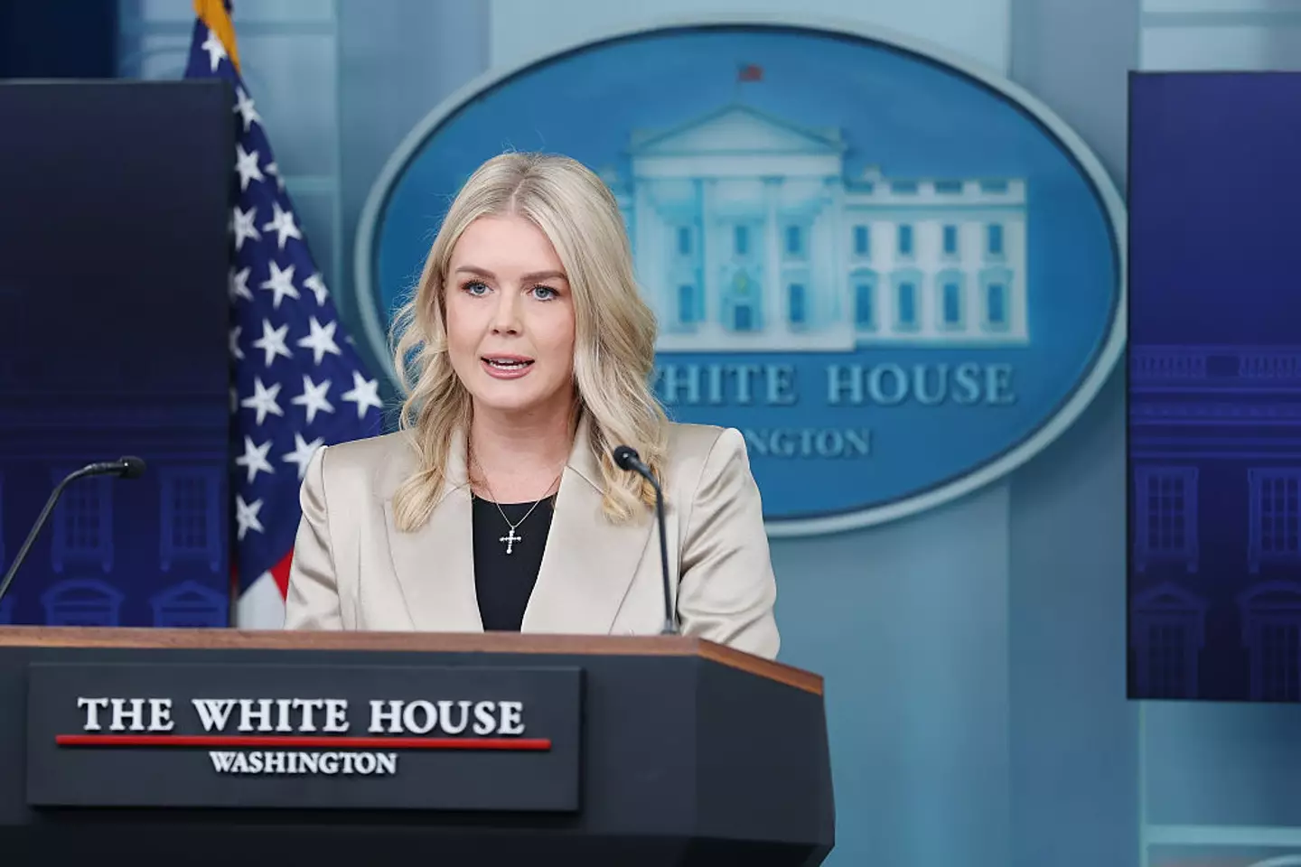 White House press secretary Karoline Leavitt had a petulant response to a reporter asking her a question (Anna Moneymaker/Getty Images)