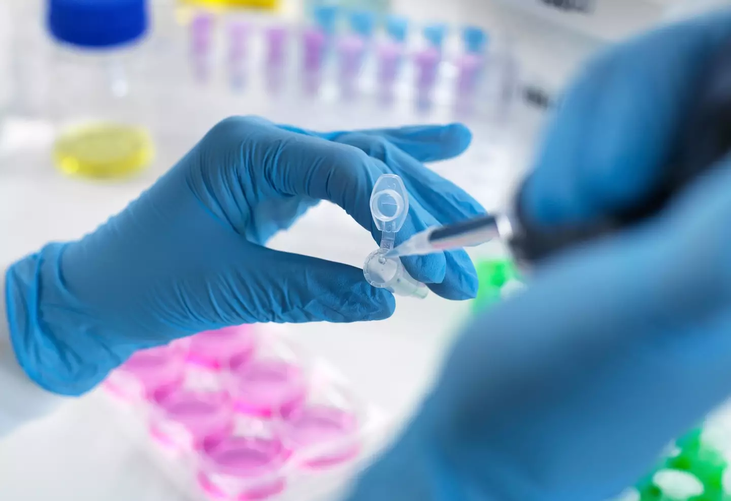 Scientists involved have heralded it as an important step forward.