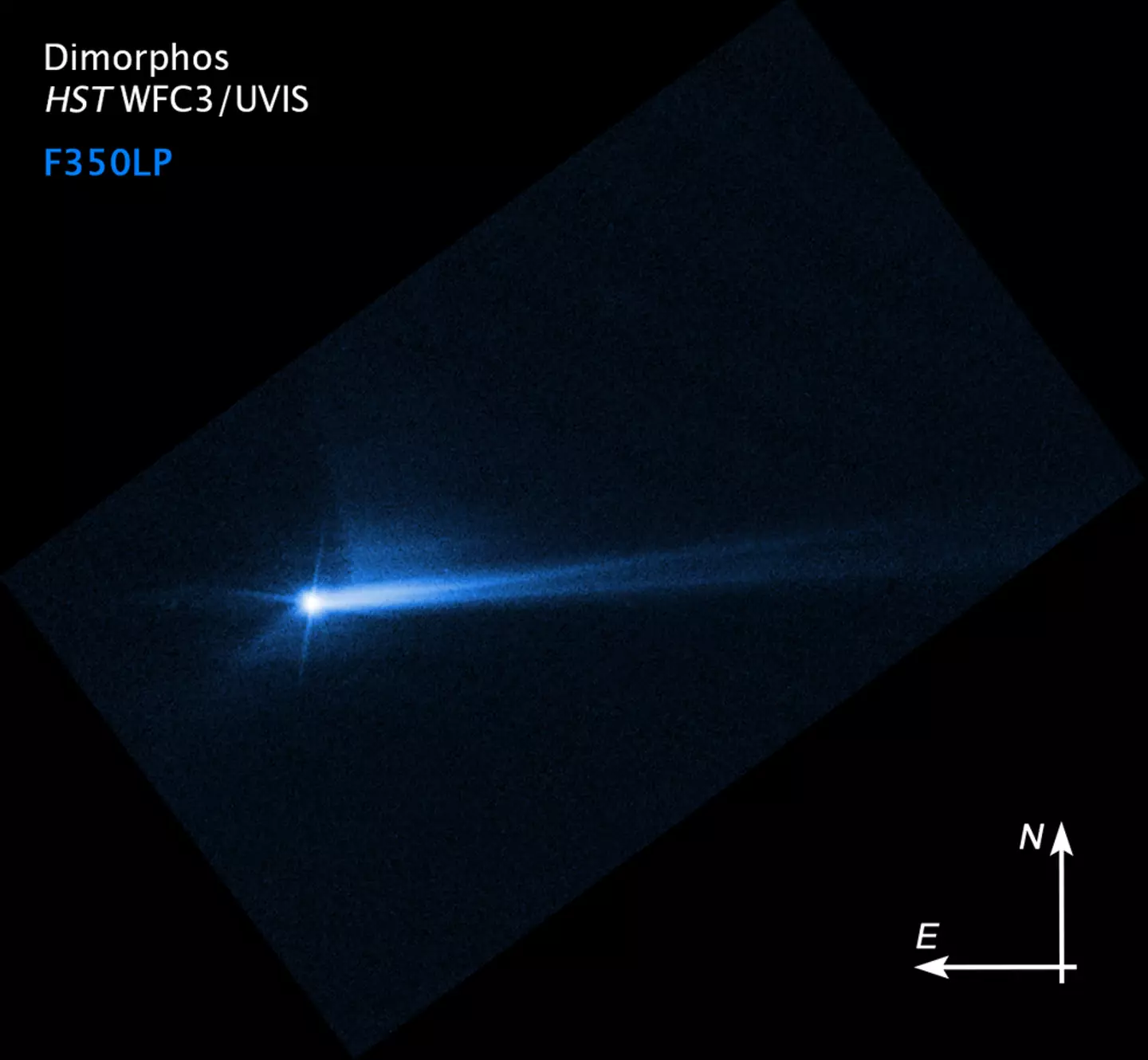 The asteroid was spotted on NASA's Hubble Space telescope.