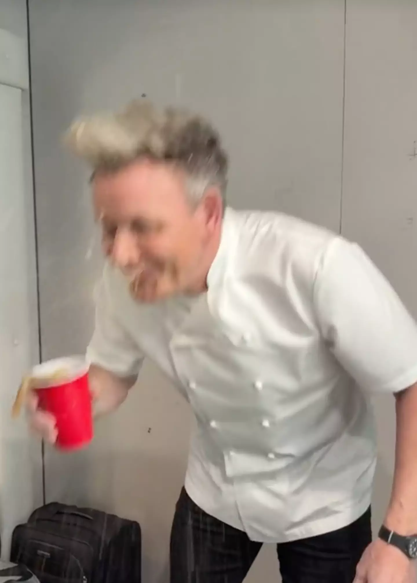 Gordon Ramsay hilariously spits out his drink after copying Dua Lipa's Diet Coke recipe (TikTok/gordonramsayofficial)