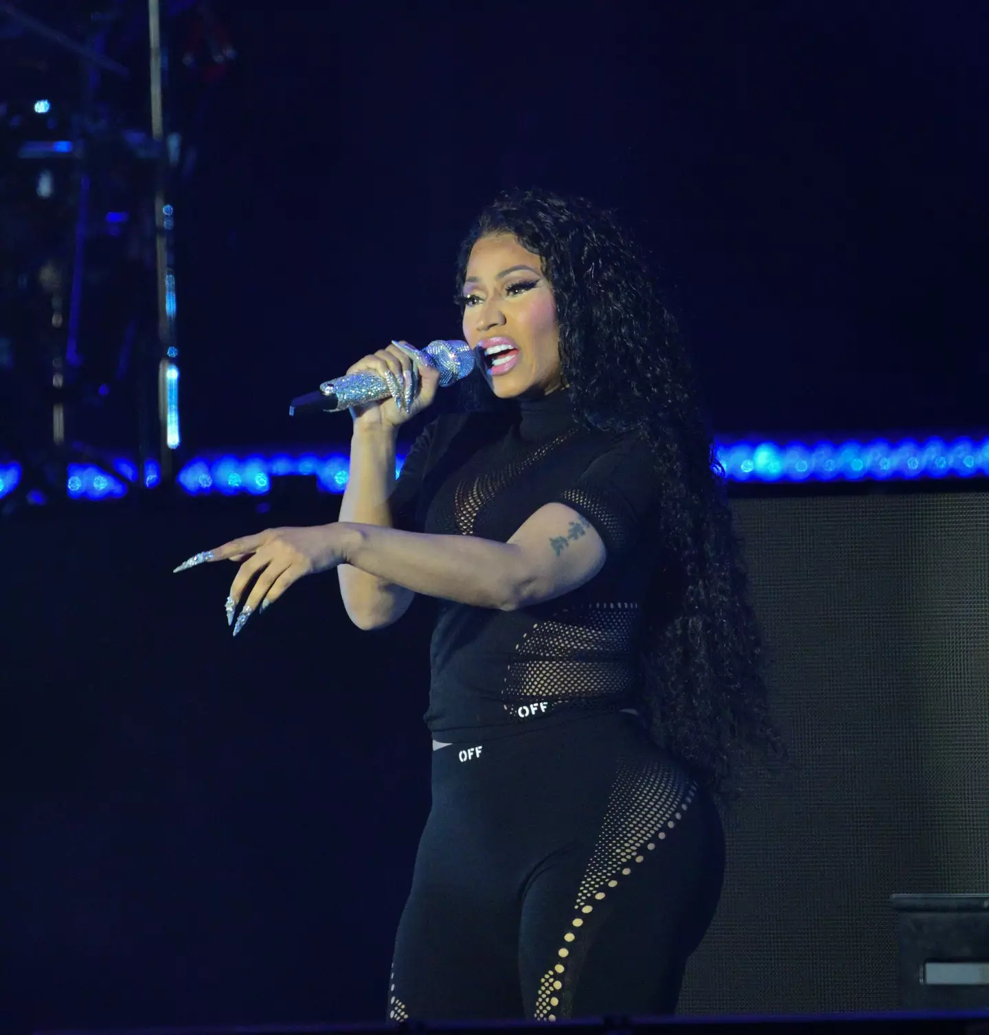 Minaj has previously claimed she came into the US illegally (Prince Williams/FilmMagic)