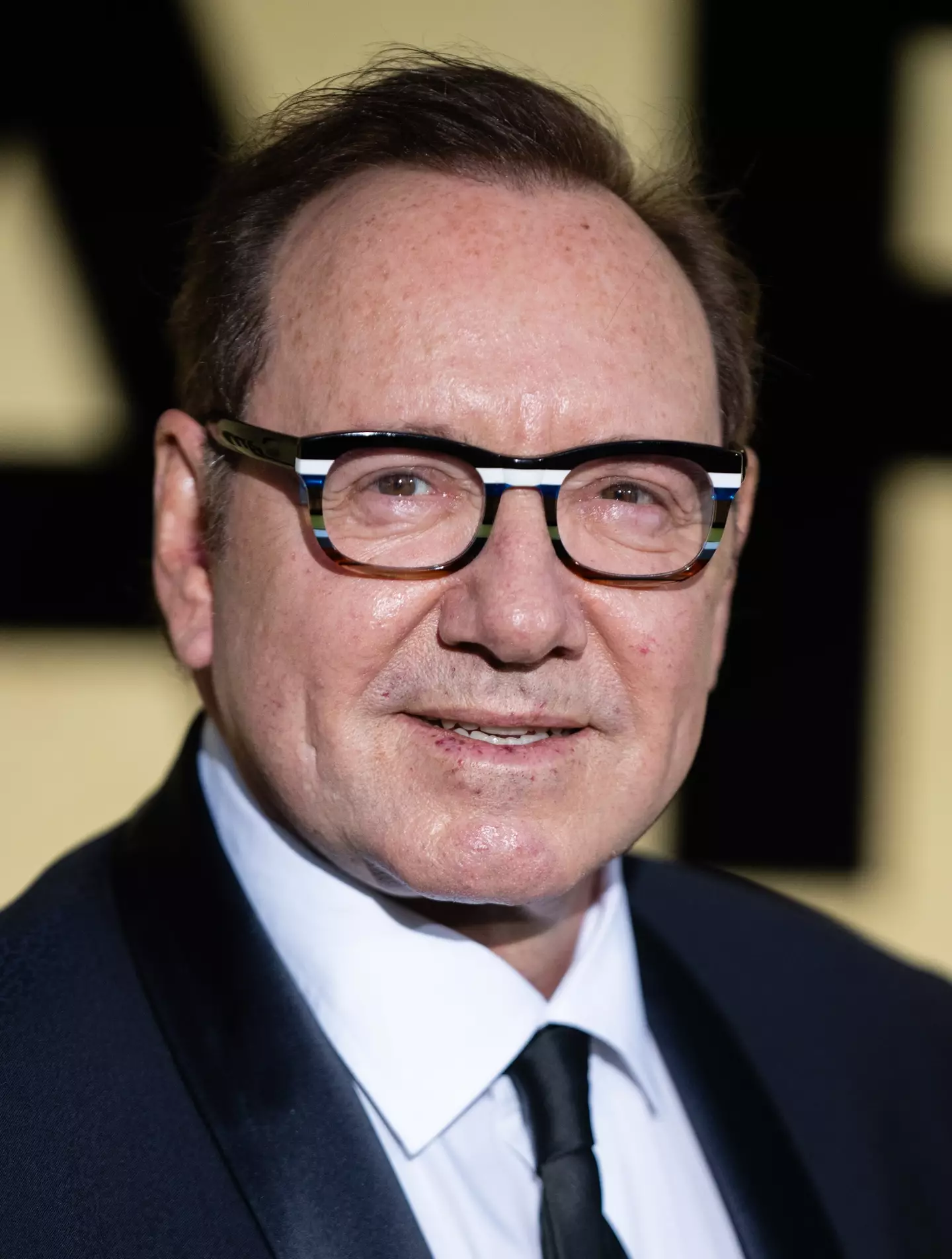 Spacey was cancelled back in 2018 following numerous sexual assault allegations (Samir Hussein/WireImage)