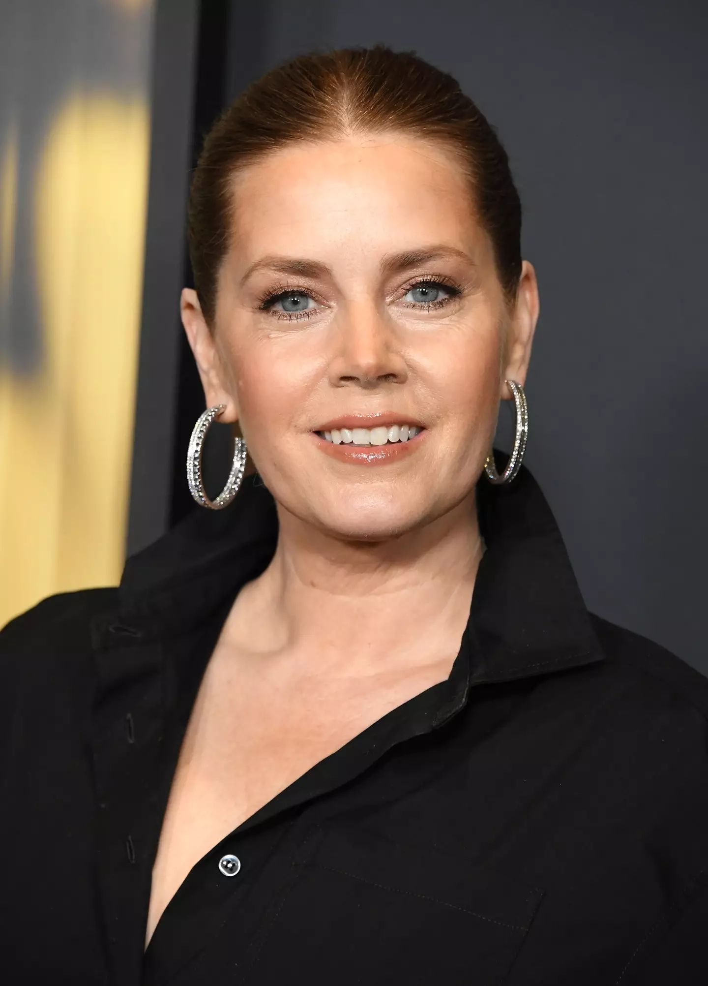 Some have suggested that Adams might be poised for an Oscar nomination for the film (Steve Granitz/FilmMagic)