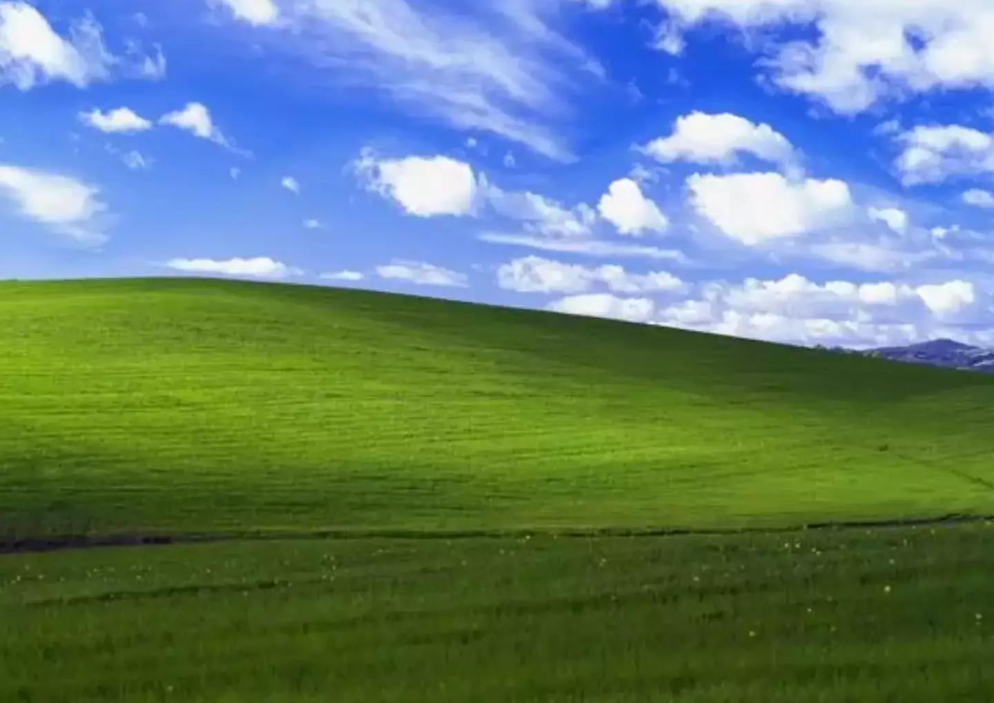 'Bliss' by Chuck O'Rear Microsoft Windows XP
