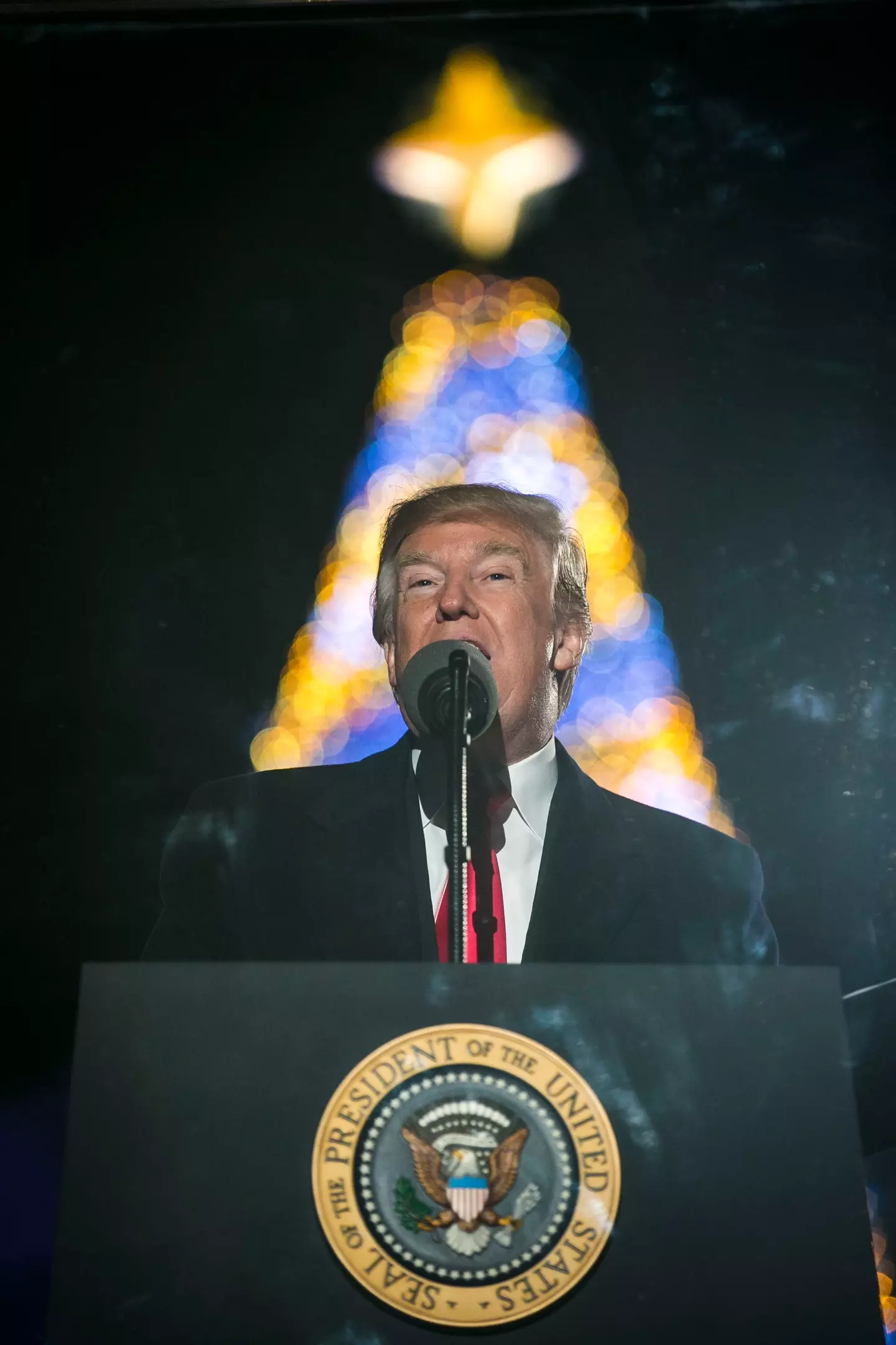 Andrea could not face her Trump-voting relatives after the election (Al Drago-Pool/Getty Images)