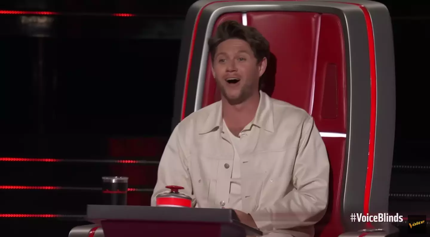 Niall Horan was floored by their uncanny resemblance.