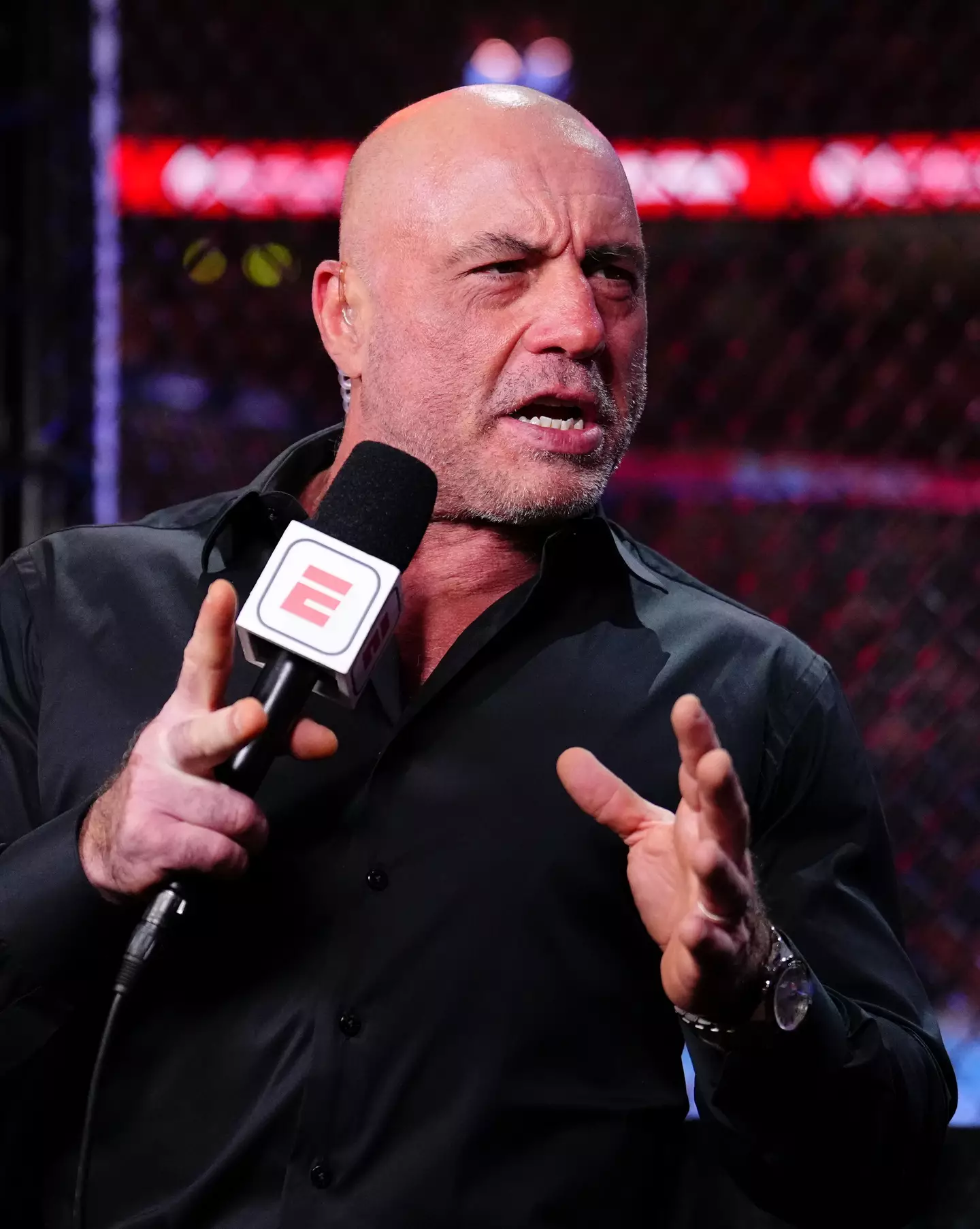 While Rogan did not directly attack Trump, he expressed skepticism about his election claims (Chris Unger/Getty Images)