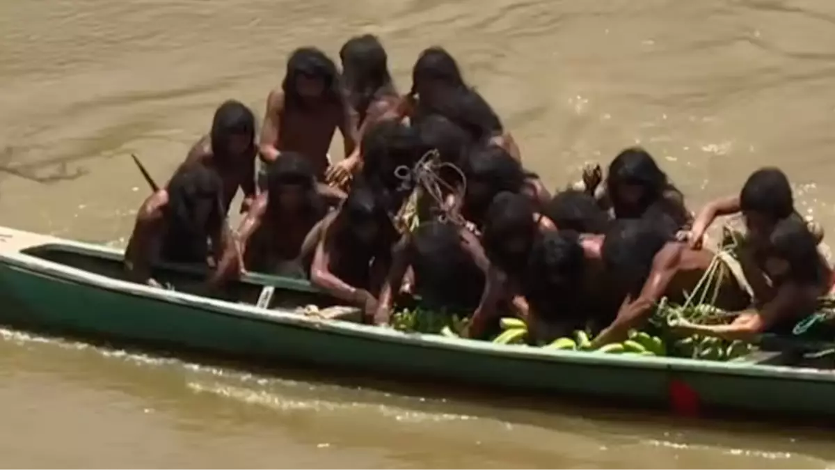 The Diary of a CEO/Jungle Express