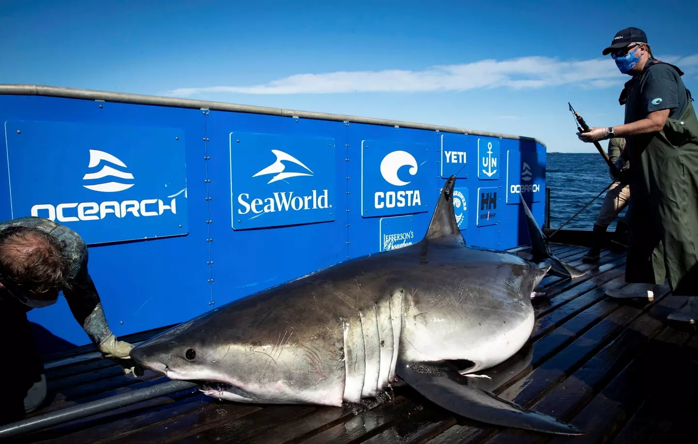 Breton was first tagged in 2020 (SWNS)