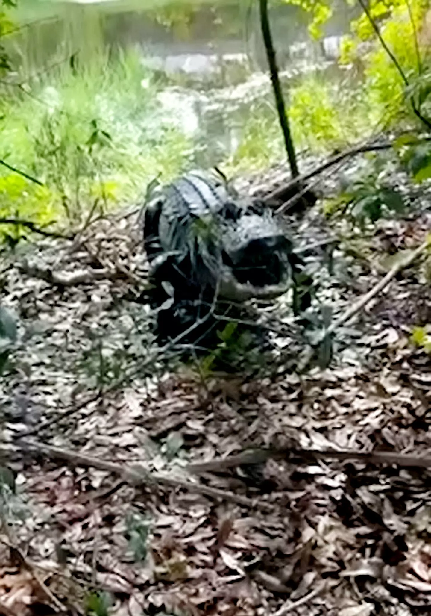 Skovran hopes people can learn from his terrifying ordeal.