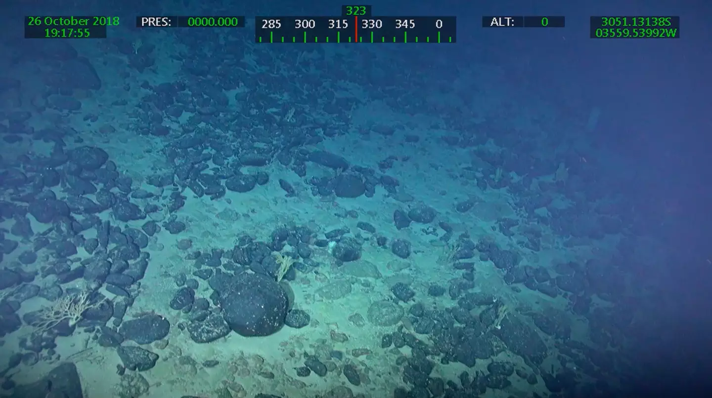 The sunken island is hundreds of miles off the coast of Brazil (Researchers’ archive via Agencia FAPESP)