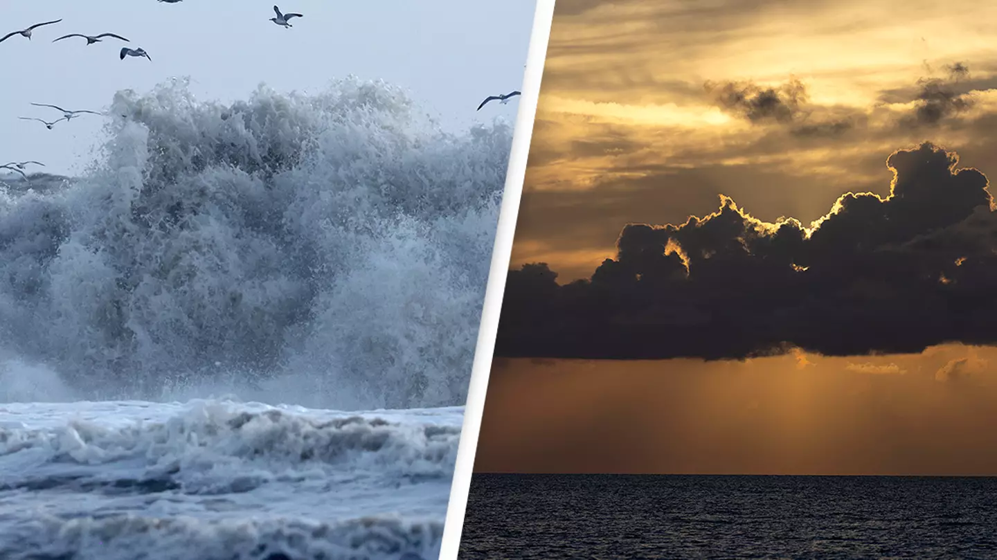 Scientists say the Gulf Stream could collapse by 2025 and cause 'catastrophic climate impacts'