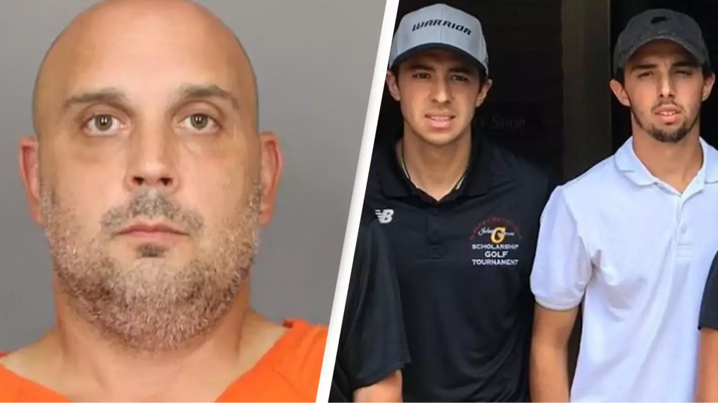 Driver who fatally hit NHL player and his brother argues 'they were drunker than him' in plea to drop criminal charges