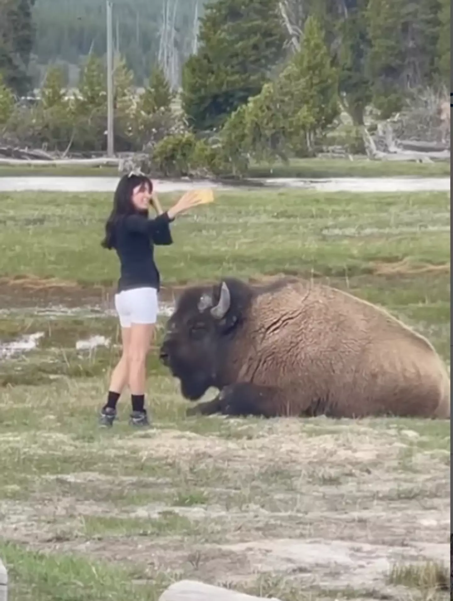 This woman tried to take a selfie with the dangerous animal.