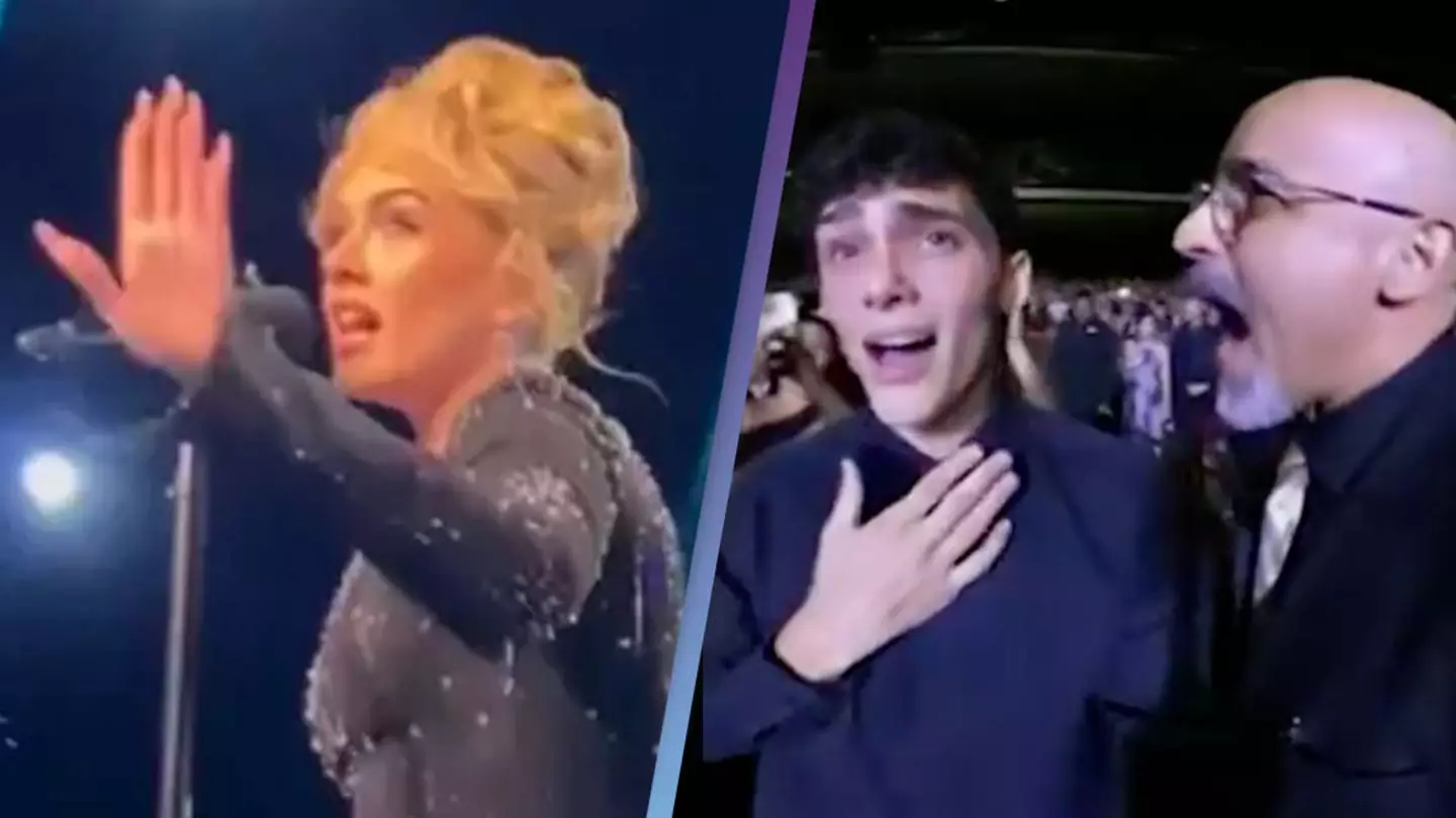 Fan recorded entire incident that caused Adele to stop concert and call out security guard