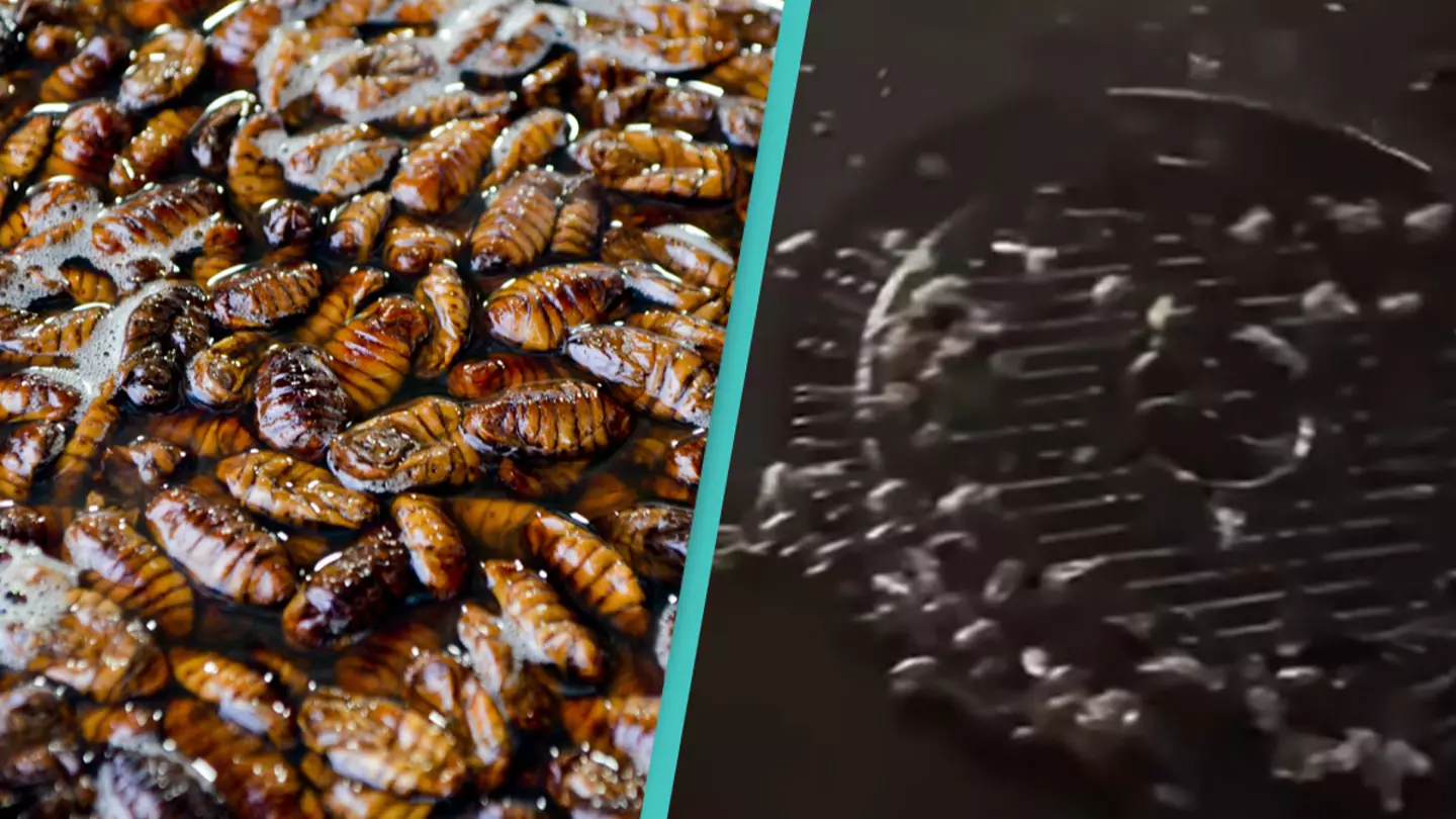 ‘Tidal wave’ of cockroaches sweeps city streets in horrifying footage
