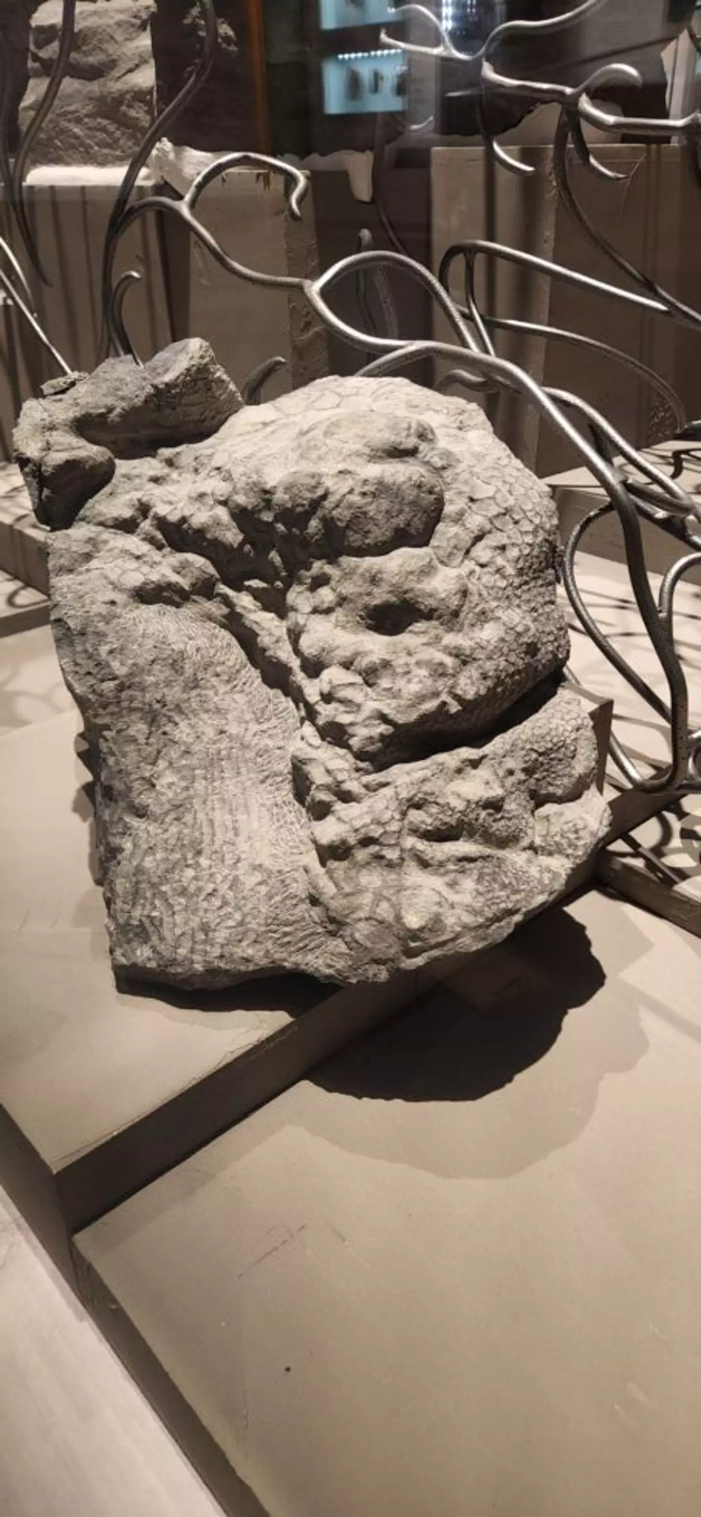 The senior technician revealed the humungous task took him a staggering '7,000 hours'.