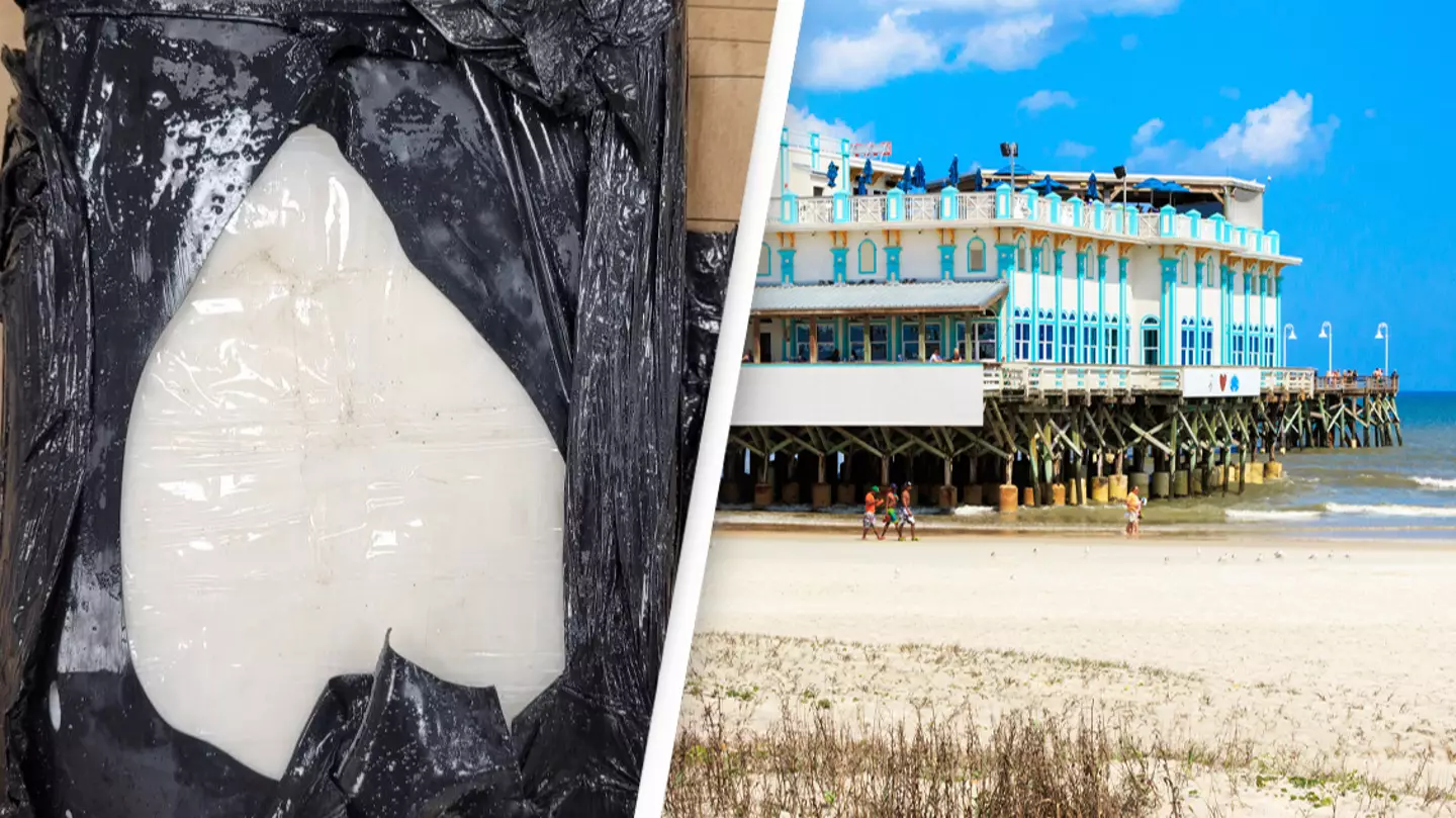 Good Samaritan hands in 11 pounds of cocaine they found washed up on the beach