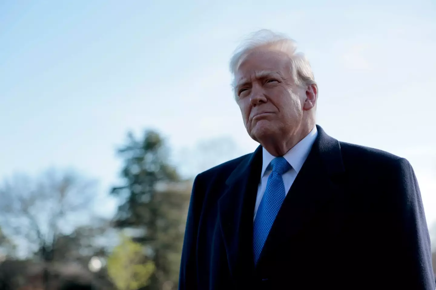 Donald Trump has made his intention to buy Greenland very clear (Anna Moneymaker/Getty Images)