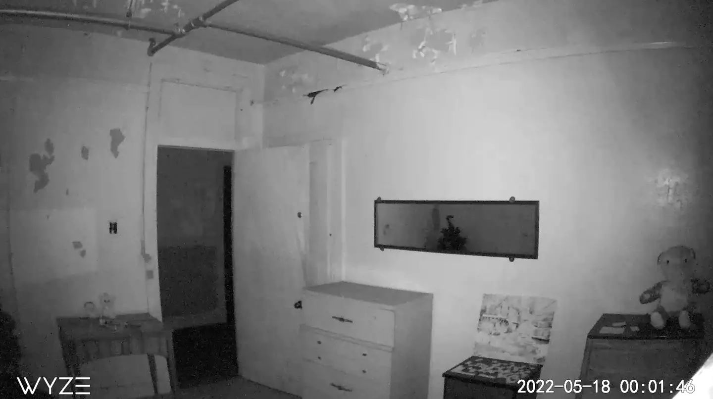 Not everyone is convinced the sound came from another entity. Credit topherphoto/Reddit