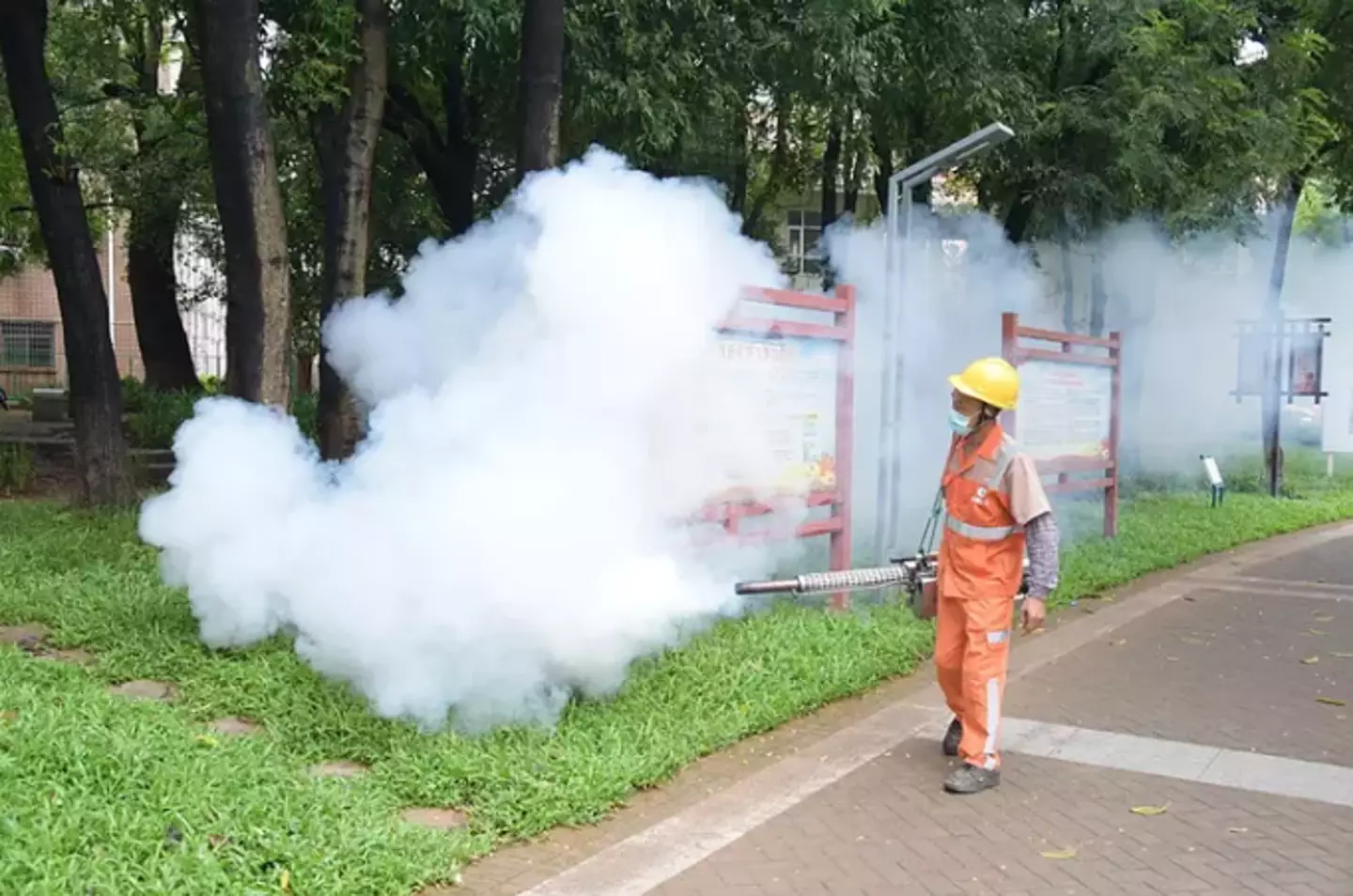 China has taken steps to kill mosquitoes in order to stop the spread of the virus (VCG/VCG via Getty Images)