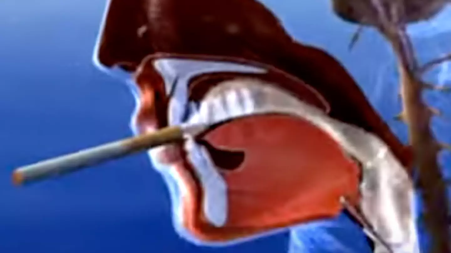 AnimatedBiomedical via YouTube