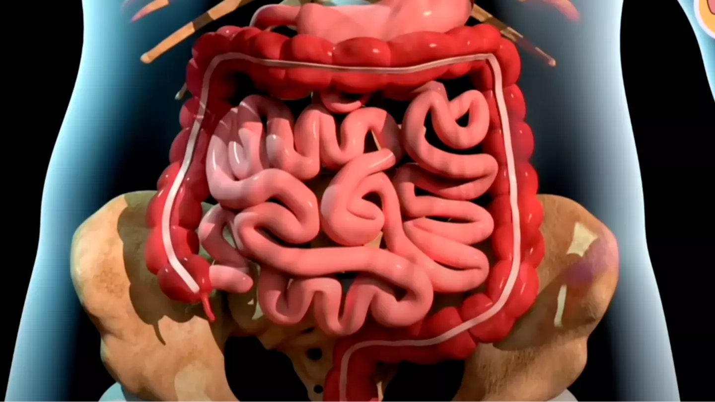 Chilling simulation shows how someone actually dies from cancer and it's extremely eye opening