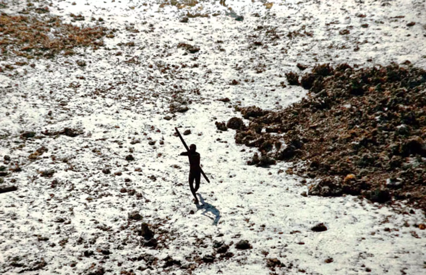 A member of member of the Sentinelese tribe photographed aiming arrows at a helicopter.