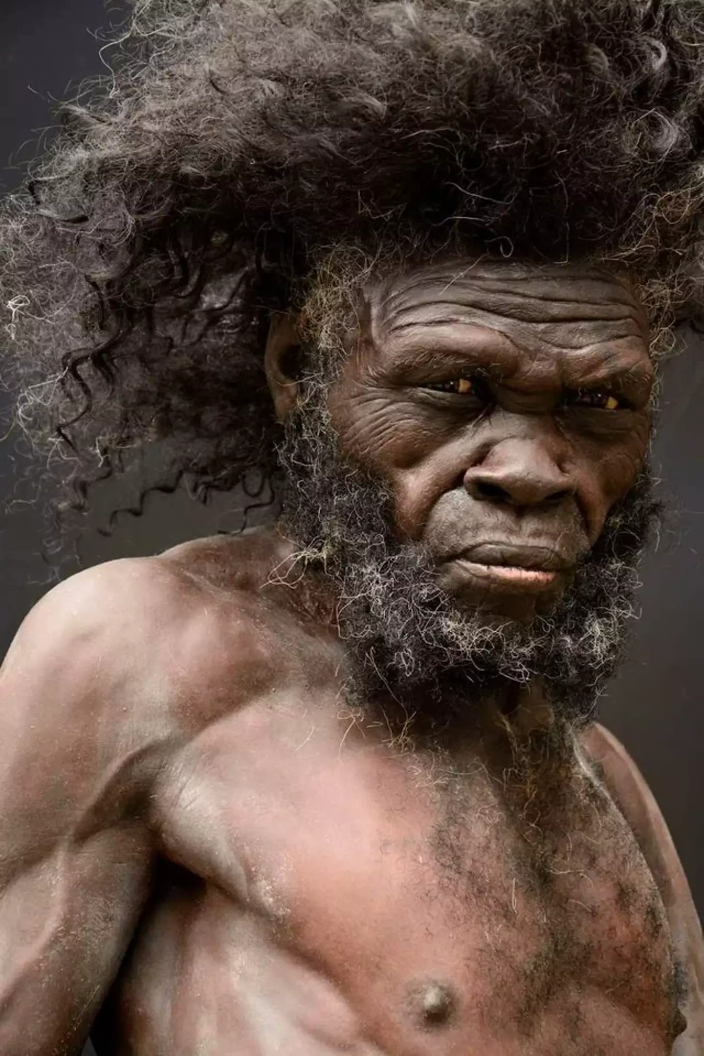 The recreation looks strikingly similar to modern man, despite the fact he is believed to have lived 160,000 years ago (Moesgaard Museum)