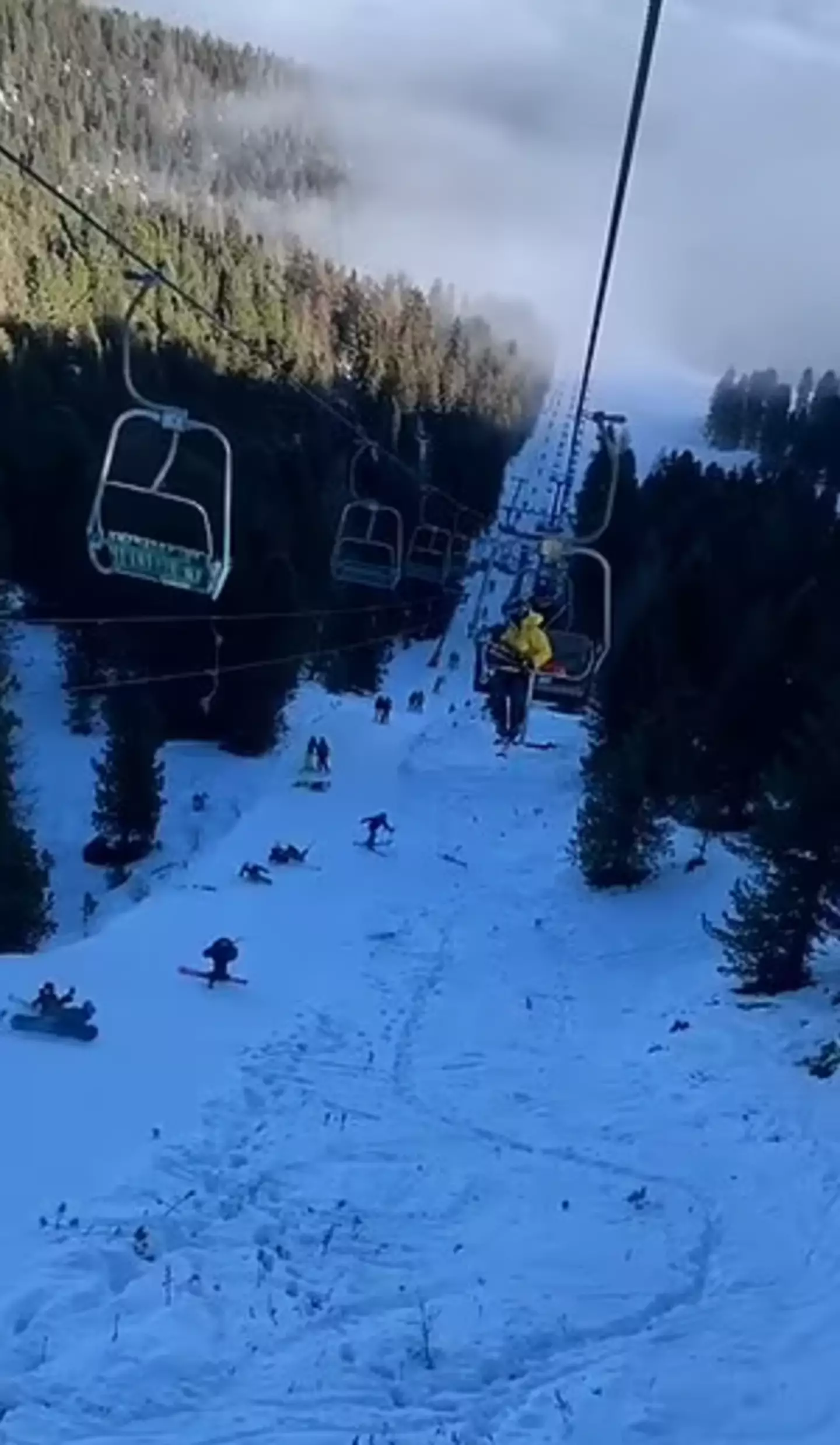 The snowboarder left a trail of destruction in his wake.