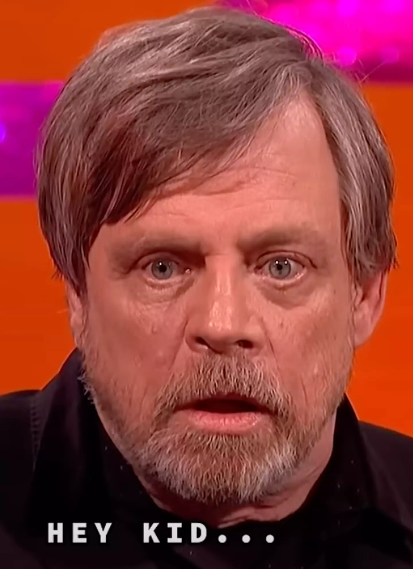 Hamill's impression of Harrison Ford has left viewers in stitches.